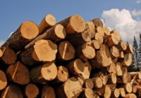 Особенности и преимущества бруса из лиственницы Особенности и преимущества бруса из лиственницы
