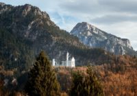 Том Хэнкс и его грейхаунд: история дружбы