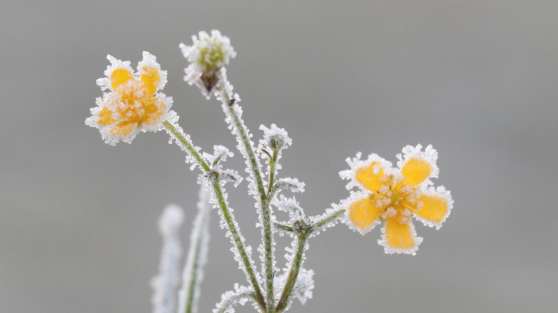 Какая погода будет в Казахстане 25 мая